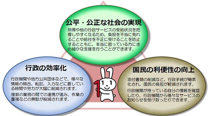 Image Illustrating the Purpose of Adopting a Social Security and Tax Number System